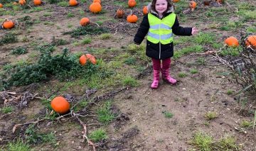 Pumpkin Picking