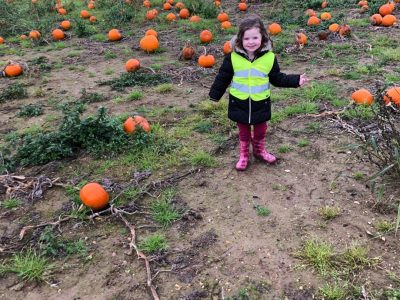 Pumpkin Picking